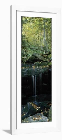 Waterfall in a Forest, Great Smoky Mountains National Park, North Carolina, USA-null-Framed Photographic Print