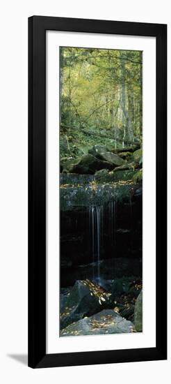 Waterfall in a Forest, Great Smoky Mountains National Park, North Carolina, USA-null-Framed Photographic Print