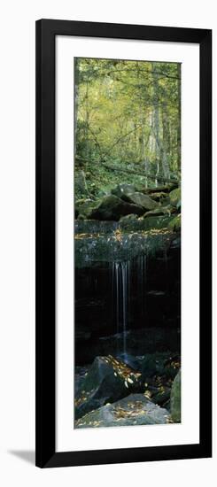 Waterfall in a Forest, Great Smoky Mountains National Park, North Carolina, USA-null-Framed Photographic Print