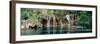 Waterfall in a forest, Hanging Lake, White River National Forest, Colorado, USA-null-Framed Photographic Print