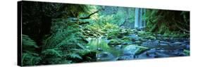 Waterfall in a Forest, Hopetown Falls, Great Ocean Road, Otway Ranges National Park, Victoria-null-Stretched Canvas