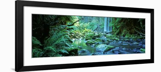 Waterfall in a Forest, Hopetown Falls, Great Ocean Road, Otway Ranges National Park, Victoria-null-Framed Photographic Print