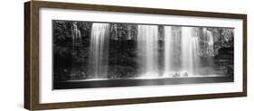 Waterfall in a Forest, Llanos De Cortez Waterfall, Guanacaste Province, Costa Rica-null-Framed Photographic Print