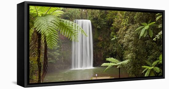 Waterfall in a Forest, Millaa Millaa Falls, Atherton Tableland, Queensland, Australia-null-Framed Stretched Canvas