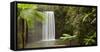 Waterfall in a Forest, Millaa Millaa Falls, Atherton Tableland, Queensland, Australia-null-Framed Stretched Canvas