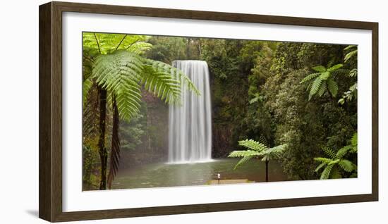 Waterfall in a Forest, Millaa Millaa Falls, Atherton Tableland, Queensland, Australia-null-Framed Photographic Print