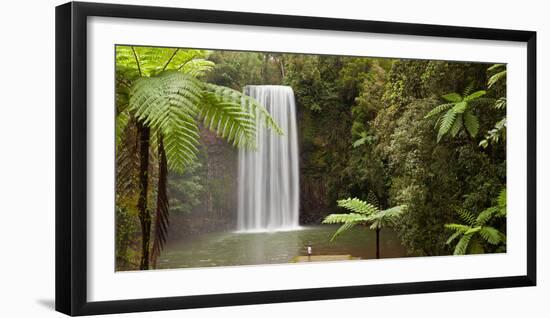 Waterfall in a Forest, Millaa Millaa Falls, Atherton Tableland, Queensland, Australia-null-Framed Photographic Print