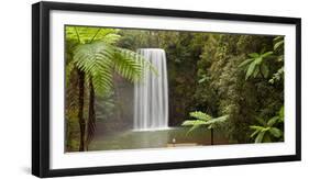 Waterfall in a Forest, Millaa Millaa Falls, Atherton Tableland, Queensland, Australia-null-Framed Photographic Print