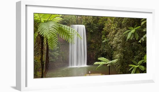 Waterfall in a Forest, Millaa Millaa Falls, Atherton Tableland, Queensland, Australia-null-Framed Photographic Print