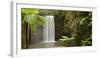 Waterfall in a Forest, Millaa Millaa Falls, Atherton Tableland, Queensland, Australia-null-Framed Photographic Print