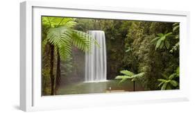 Waterfall in a Forest, Millaa Millaa Falls, Atherton Tableland, Queensland, Australia-null-Framed Photographic Print