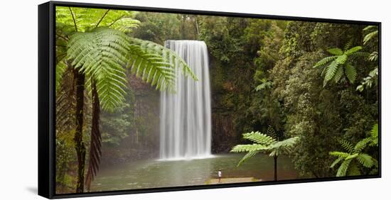 Waterfall in a Forest, Millaa Millaa Falls, Atherton Tableland, Queensland, Australia-null-Framed Stretched Canvas