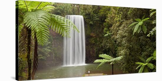 Waterfall in a Forest, Millaa Millaa Falls, Atherton Tableland, Queensland, Australia-null-Stretched Canvas