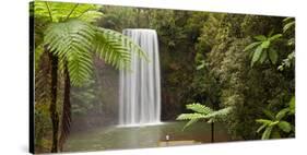 Waterfall in a Forest, Millaa Millaa Falls, Atherton Tableland, Queensland, Australia-null-Stretched Canvas