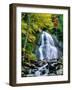 Waterfall in a forest, Moss Glen Falls, 3873 Route 100, Granville Reservation State Park, Granvi...-null-Framed Photographic Print