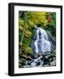 Waterfall in a forest, Moss Glen Falls, 3873 Route 100, Granville Reservation State Park, Granvi...-null-Framed Photographic Print