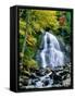 Waterfall in a forest, Moss Glen Falls, 3873 Route 100, Granville Reservation State Park, Granvi...-null-Framed Stretched Canvas