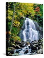 Waterfall in a forest, Moss Glen Falls, 3873 Route 100, Granville Reservation State Park, Granvi...-null-Stretched Canvas
