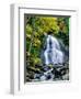 Waterfall in a forest, Moss Glen Falls, 3873 Route 100, Granville Reservation State Park, Granvi...-null-Framed Photographic Print