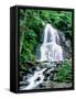 Waterfall in a forest, Moss Glen Falls, 3873 Route 100, Granville Reservation State Park, Granvi...-null-Framed Stretched Canvas