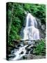 Waterfall in a forest, Moss Glen Falls, 3873 Route 100, Granville Reservation State Park, Granvi...-null-Stretched Canvas