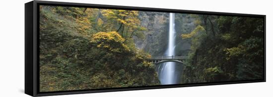 Waterfall in a Forest, Multnomah Falls, Columbia River Gorge, Multnomah County, Oregon, USA-null-Framed Stretched Canvas