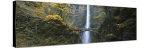 Waterfall in a Forest, Multnomah Falls, Columbia River Gorge, Multnomah County, Oregon, USA-null-Stretched Canvas