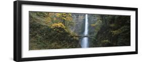 Waterfall in a Forest, Multnomah Falls, Columbia River Gorge, Multnomah County, Oregon, USA-null-Framed Photographic Print