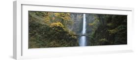 Waterfall in a Forest, Multnomah Falls, Columbia River Gorge, Multnomah County, Oregon, USA-null-Framed Photographic Print