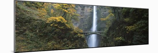 Waterfall in a Forest, Multnomah Falls, Columbia River Gorge, Multnomah County, Oregon, USA-null-Mounted Photographic Print