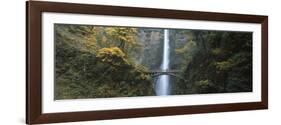 Waterfall in a Forest, Multnomah Falls, Columbia River Gorge, Multnomah County, Oregon, USA-null-Framed Photographic Print