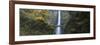 Waterfall in a Forest, Multnomah Falls, Columbia River Gorge, Multnomah County, Oregon, USA-null-Framed Photographic Print