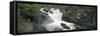 Waterfall in a Forest, Rogie Falls, Black Water River, Inverness, Ross and Cromarty-null-Framed Stretched Canvas