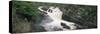 Waterfall in a Forest, Rogie Falls, Black Water River, Inverness, Ross and Cromarty-null-Stretched Canvas