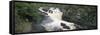 Waterfall in a Forest, Rogie Falls, Black Water River, Inverness, Ross and Cromarty-null-Framed Stretched Canvas