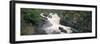 Waterfall in a Forest, Rogie Falls, Black Water River, Inverness, Ross and Cromarty-null-Framed Photographic Print