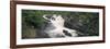 Waterfall in a Forest, Rogie Falls, Black Water River, Inverness, Ross and Cromarty-null-Framed Photographic Print