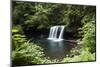 Waterfall in a forest, Samuel H. Boardman State Scenic Corridor, Pacific Northwest, Oregon, USA-Panoramic Images-Mounted Photographic Print