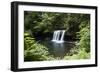 Waterfall in a forest, Samuel H. Boardman State Scenic Corridor, Pacific Northwest, Oregon, USA-Panoramic Images-Framed Photographic Print