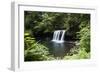 Waterfall in a forest, Samuel H. Boardman State Scenic Corridor, Pacific Northwest, Oregon, USA-Panoramic Images-Framed Photographic Print