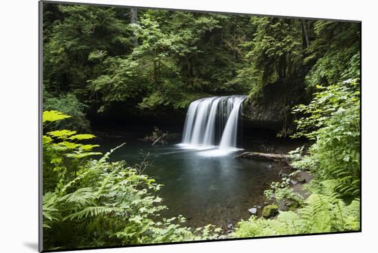 Waterfall in a forest, Samuel H. Boardman State Scenic Corridor, Pacific Northwest, Oregon, USA-Panoramic Images-Mounted Photographic Print