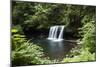 Waterfall in a forest, Samuel H. Boardman State Scenic Corridor, Pacific Northwest, Oregon, USA-Panoramic Images-Mounted Photographic Print