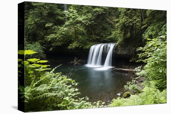 Waterfall in a forest, Samuel H. Boardman State Scenic Corridor, Pacific Northwest, Oregon, USA-Panoramic Images-Stretched Canvas