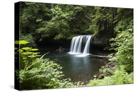 Waterfall in a forest, Samuel H. Boardman State Scenic Corridor, Pacific Northwest, Oregon, USA-Panoramic Images-Stretched Canvas