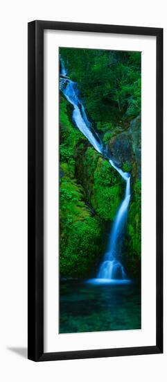 Waterfall in a Forest, Sullivan Falls, Opal Creek Wilderness, Oregon, USA-null-Framed Premium Photographic Print