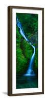 Waterfall in a Forest, Sullivan Falls, Opal Creek Wilderness, Oregon, USA-null-Framed Photographic Print