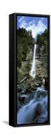 Waterfall in a Forest, Tatschbachfall, Engelberg, Obwalden Canton, Switzerland-null-Framed Stretched Canvas