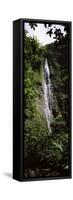 Waterfall in a Forest, Waimoku Falls, Haleakala National Park, Maui, Hawaii, USA-null-Framed Stretched Canvas