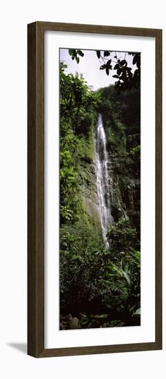 Waterfall in a Forest, Waimoku Falls, Haleakala National Park, Maui, Hawaii, USA-null-Framed Photographic Print