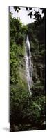 Waterfall in a Forest, Waimoku Falls, Haleakala National Park, Maui, Hawaii, USA-null-Mounted Photographic Print
